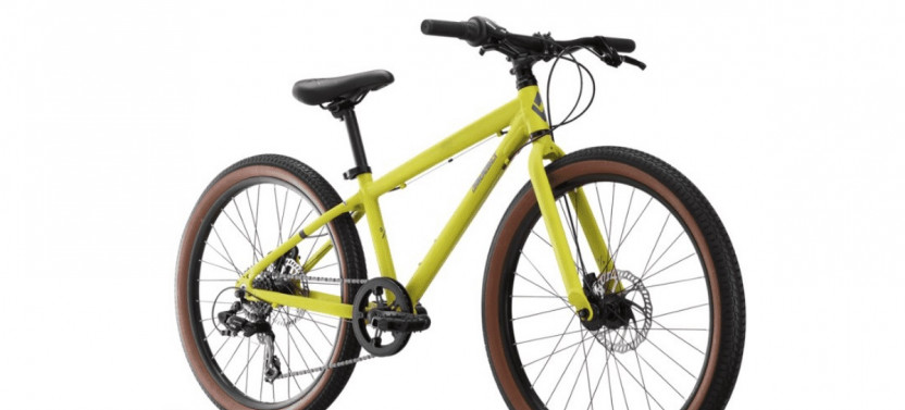 Junior Bike Rental