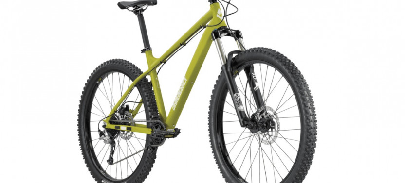 Hardtail Mountain Bike Rental