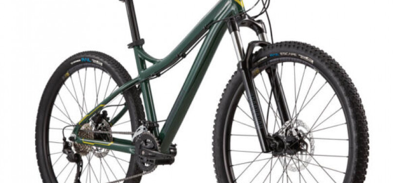 Full Suspension Mountain Bike Rental