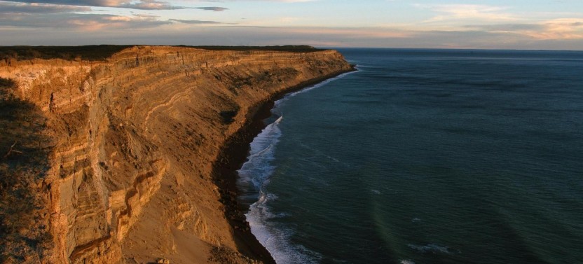 Peninsula Valdes Day Trip