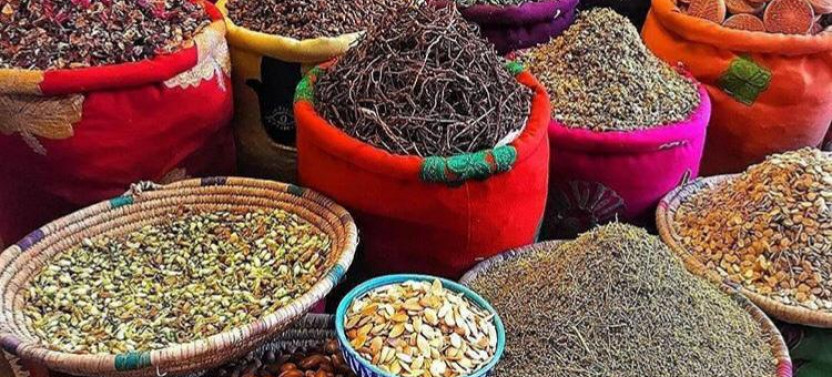 Marrakech City Tour