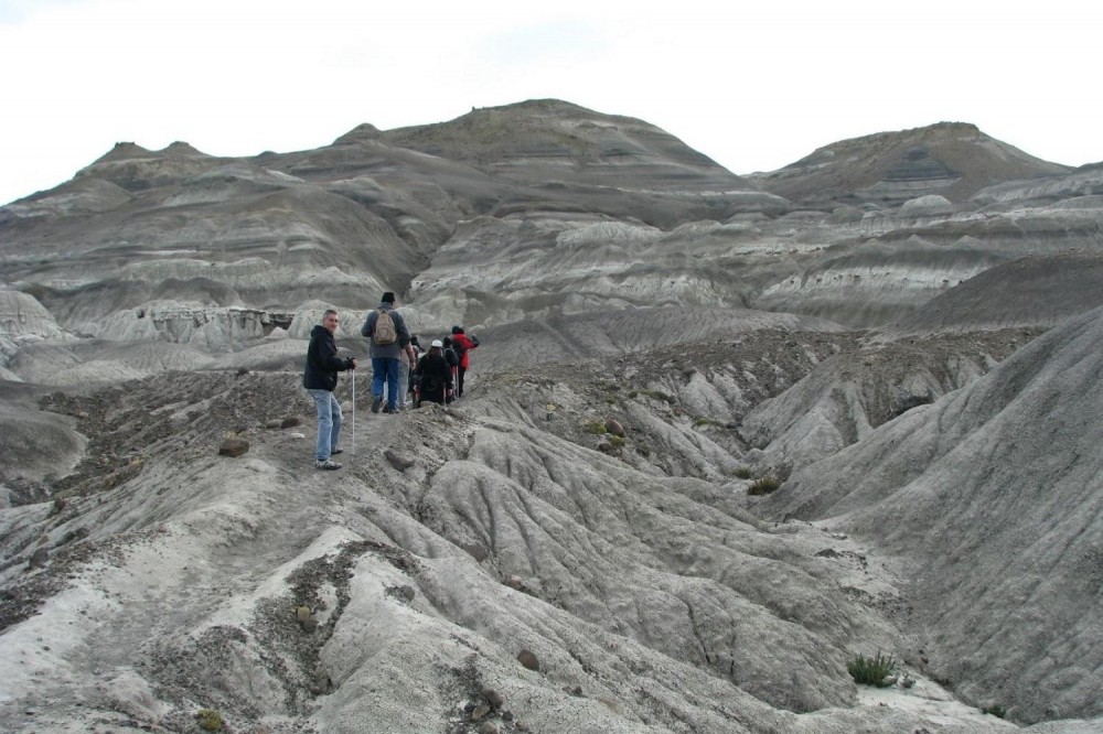 Petrified Forest Day Tour from El Calafate