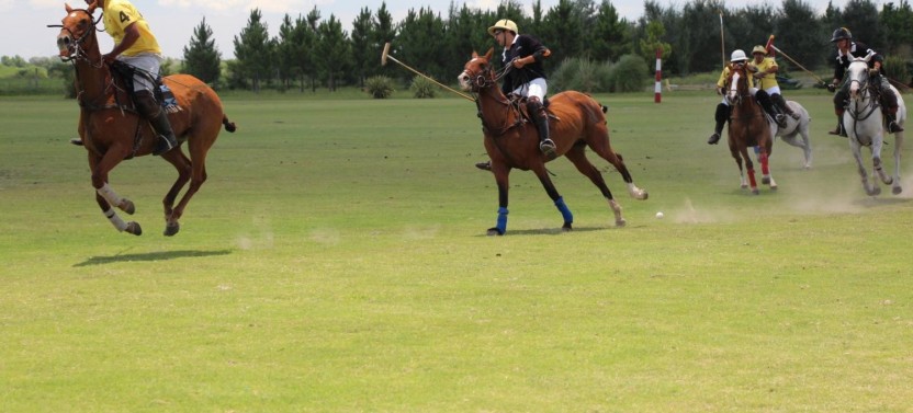 Polo Experience at Estancia Villa Maria