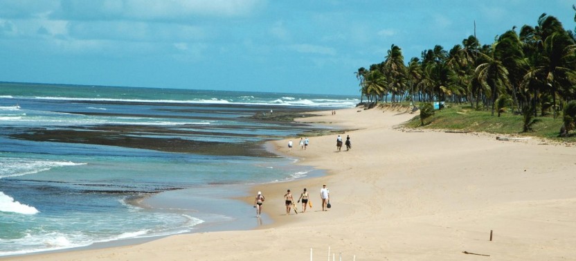 Praia Do Forte & Guarajuba Beach Day Trip