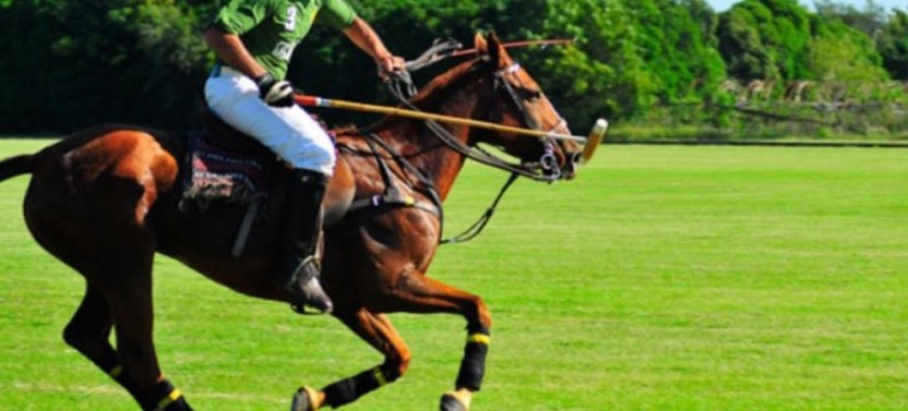Polo Experience at Estancia Villa Maria