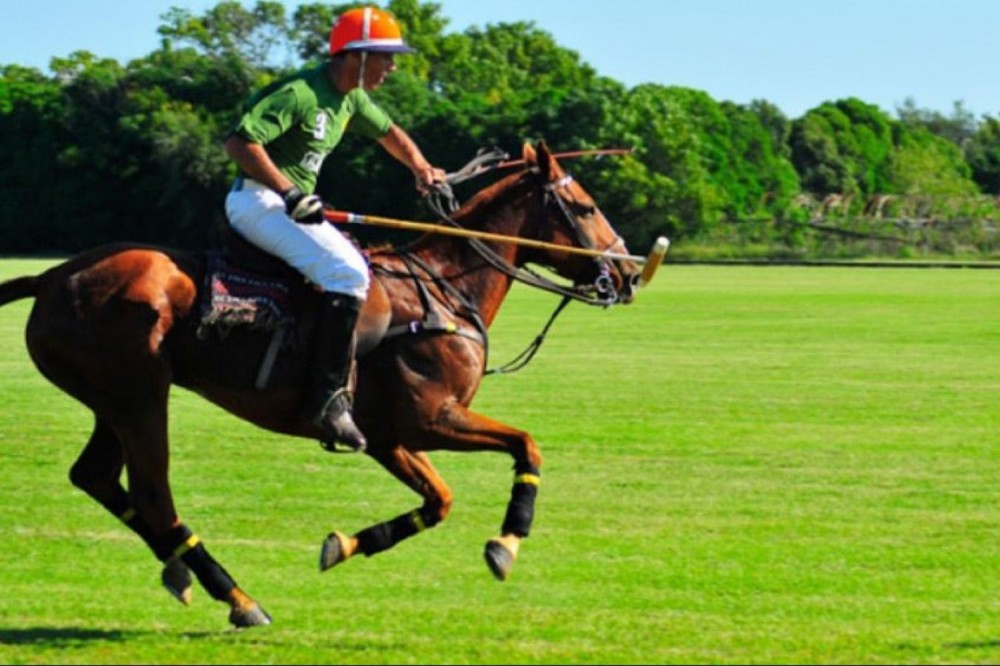 Polo Experience at Estancia Villa Maria