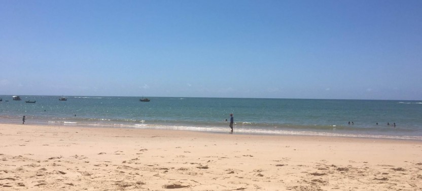 Praia Do Forte & Guarajuba Beach Day Trip