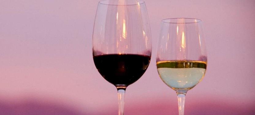 Premium Cafayate Wine Route