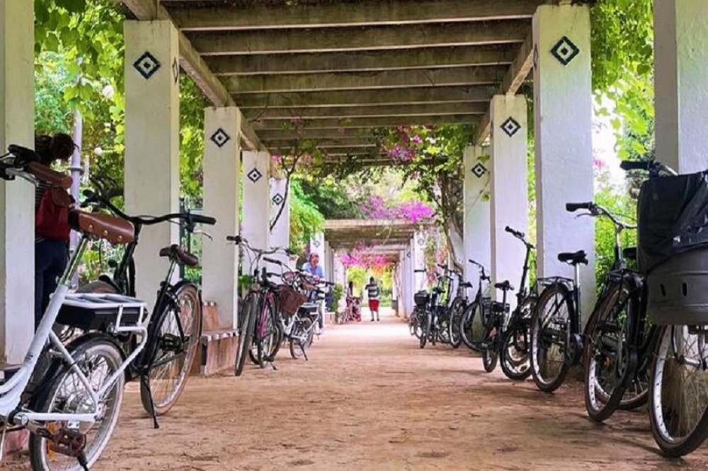 Get to know Seville like a local on an Electric Bike