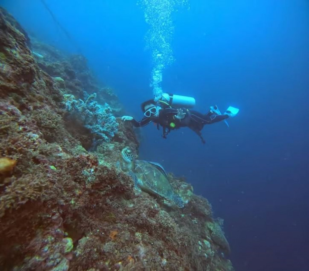 Cebu: Beach Scuba Diving Experience