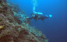 G AND G DIVE POINT MACTAN CORP1