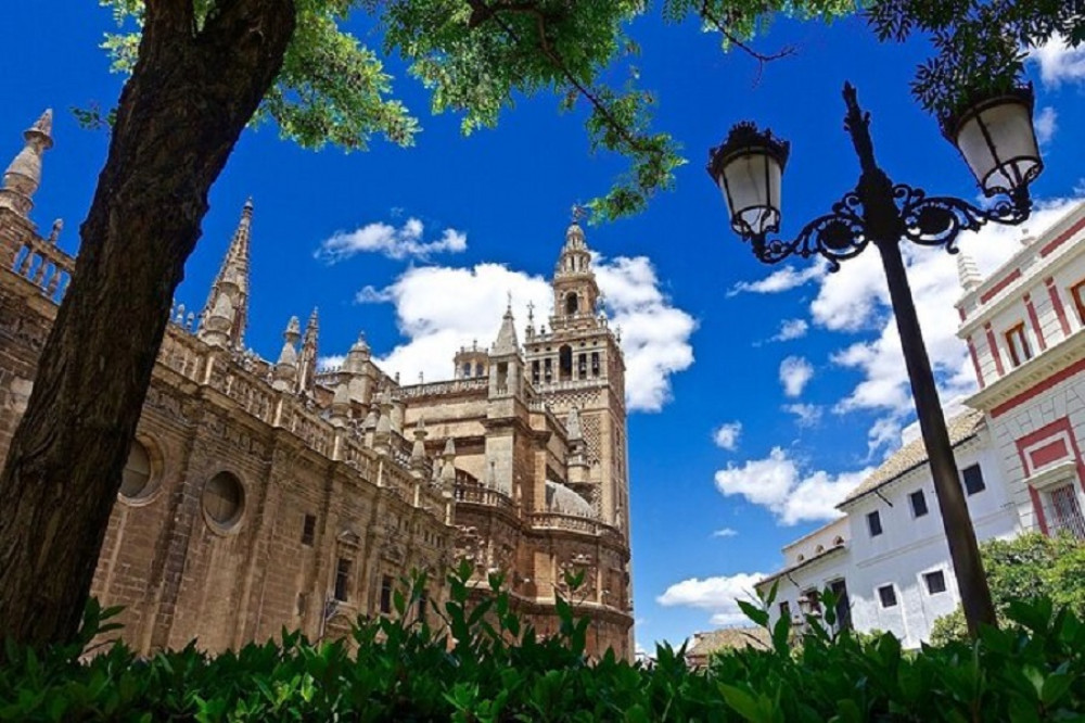 Full Day in Seville / E-Bike, Monuments and Flamenco Show