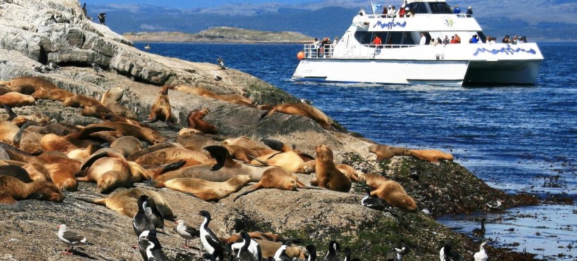 Sea Lions & Birds Island Boat Tour