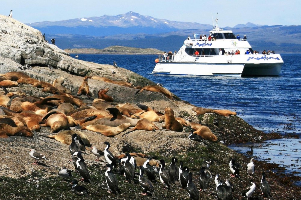 Sea Lions & Birds Island Boat Tour