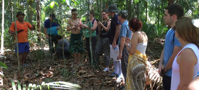 Surviving In The Jungle - Manaus Eco Tour