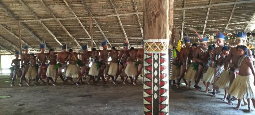 Surviving In The Jungle - Manaus Eco Tour