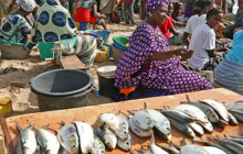 Gambia Tours and Travel Limited5