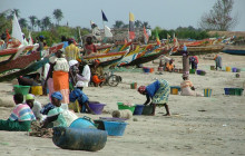 Gambia Tours and Travel Limited4