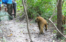 Gambia Tours and Travel Limited7