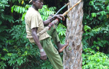 Gambia Tours and Travel Limited8