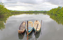 Gambia Tours and Travel Limited1