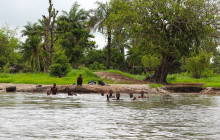 Gambia Tours and Travel Limited4
