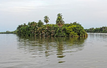 Gambia Tours and Travel Limited5