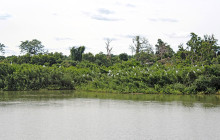 Gambia Tours and Travel Limited4