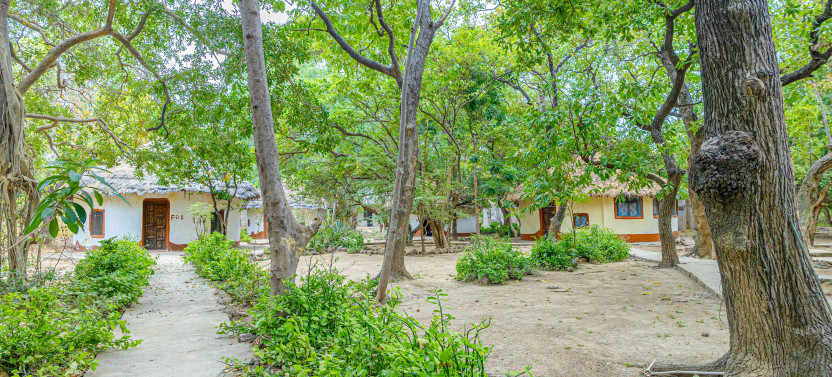2 Day Jang Jang Burreh (Georgetown) Excursion