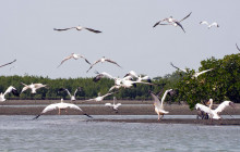 Gambia Tours and Travel Limited1
