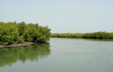 Gambia Tours and Travel Limited5