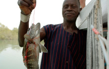 Gambia Tours and Travel Limited9