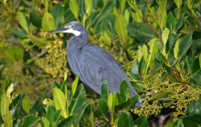 Gambia Tours and Travel Limited6