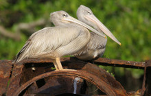 Gambia Tours and Travel Limited4