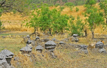 Gambia Tours and Travel Limited12