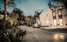 WCM MYKONOS TOURS2