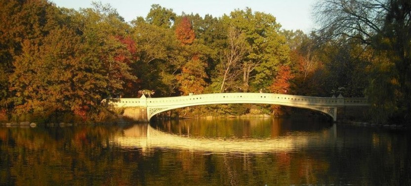 Central Park Small Group Walking Tour