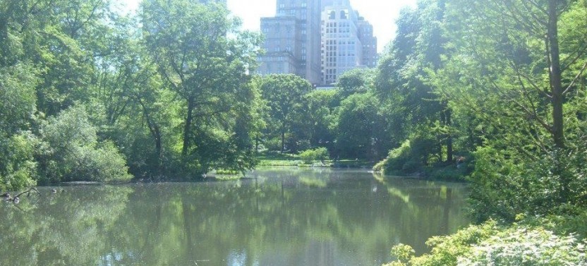 Hells Kitchen Food Tour + Central Park Small Group Tour