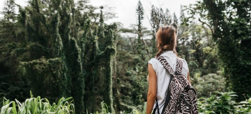 Oahu Hiking Tours : Manoa Waterfall with lunch at Tantalus Picnic