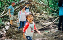 Oahu Rainforest and Waterfall Hike