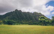Island and You: Oahu Circle Island: Sightseeing & Food