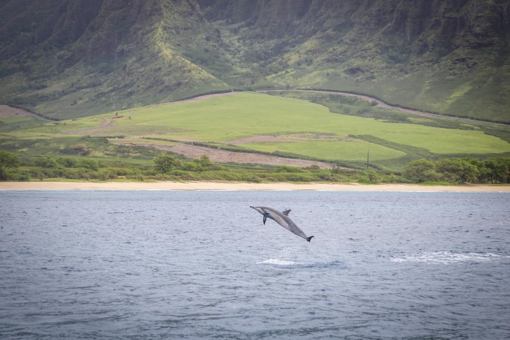 Private 3HR Snorkel Charter in West Oahu Honolulu Project Expedition