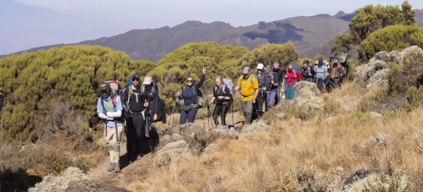 8 days Kilimanjaro Climb – Lemosho Route