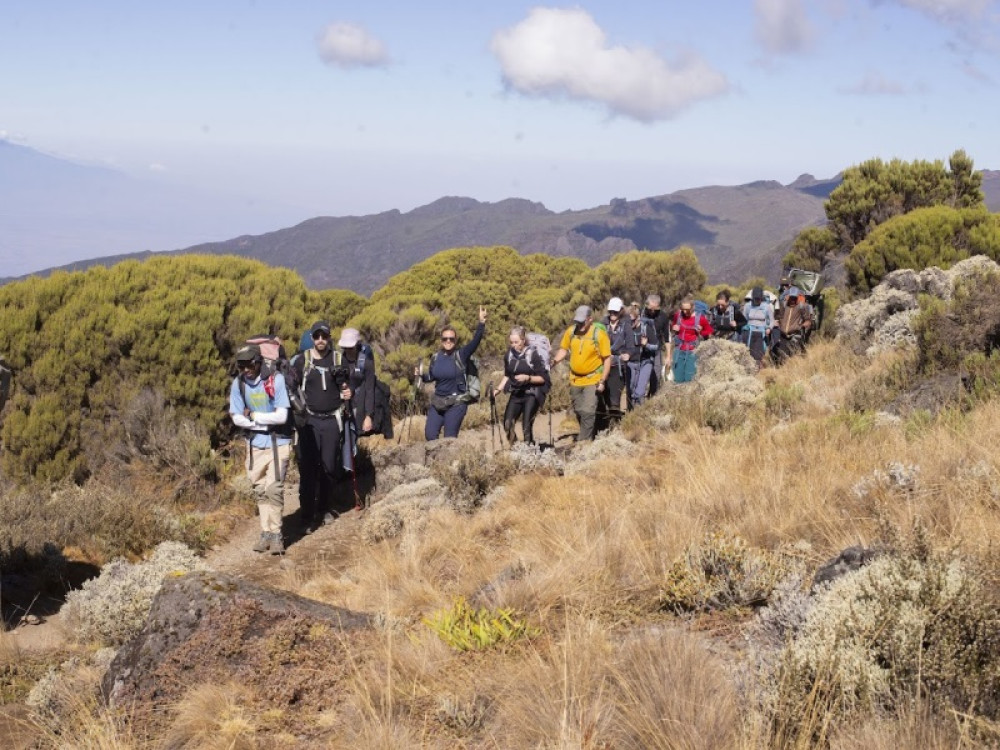 8 days Kilimanjaro Climb – Lemosho Route