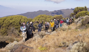 A picture of 8 days Kilimanjaro Climb – Lemosho Route