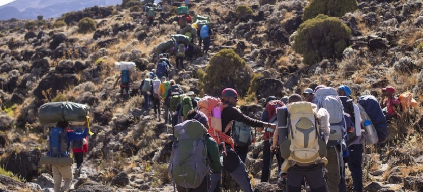 8 days Kilimanjaro Climb – Lemosho Route