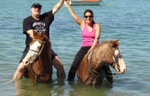 Edwin Transfers Tours8