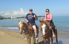 Edwin Transfers Tours7