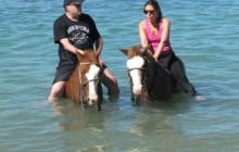 Edwin Transfers Tours3