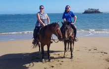 Edwin Transfers Tours2